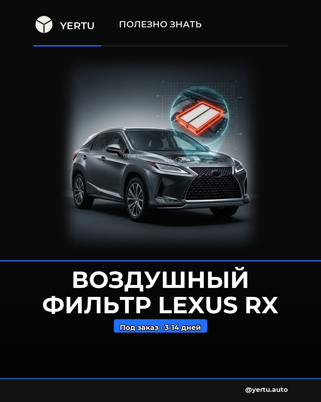 Воздушный фильтр Lexus RX: смотри на просвет